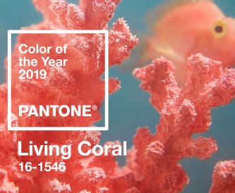 Pantone Colour of the Year 2019