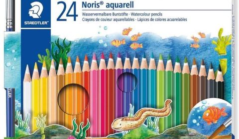 Staedtler Noris Watercolor Pencils - Assorted Pack of 24 with Free Brush