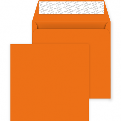 505 Sq 220 Pumpkin Orange 01