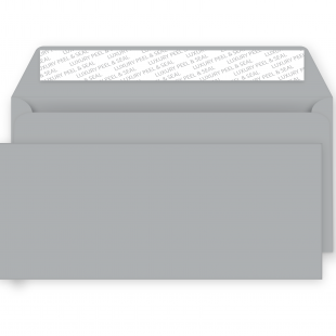 DL Metallic Silver Peel and Seal Envelopes 130gsm (114mm x229mm)