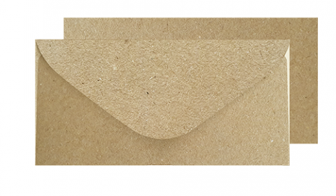 DL Fleck Kraft Envelopes (110mm x 220mm)