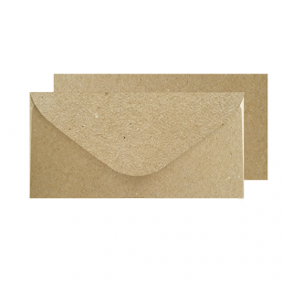 DL Fleck Kraft Envelopes (110mm x 220mm)