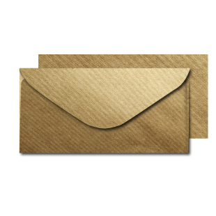 DL Ribbed Kraft Envelopes (110mm x 220mm)