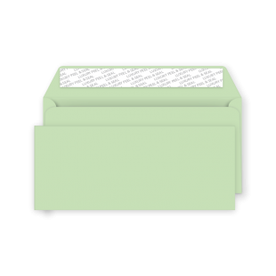 DL+ Peel and Seal Envelope - Spearmint Green