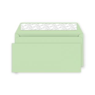 DL Peel and Seal Envelope - Spearmint Green
