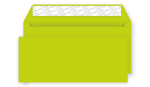 DL Peel and Seal Envelope - Acid Green