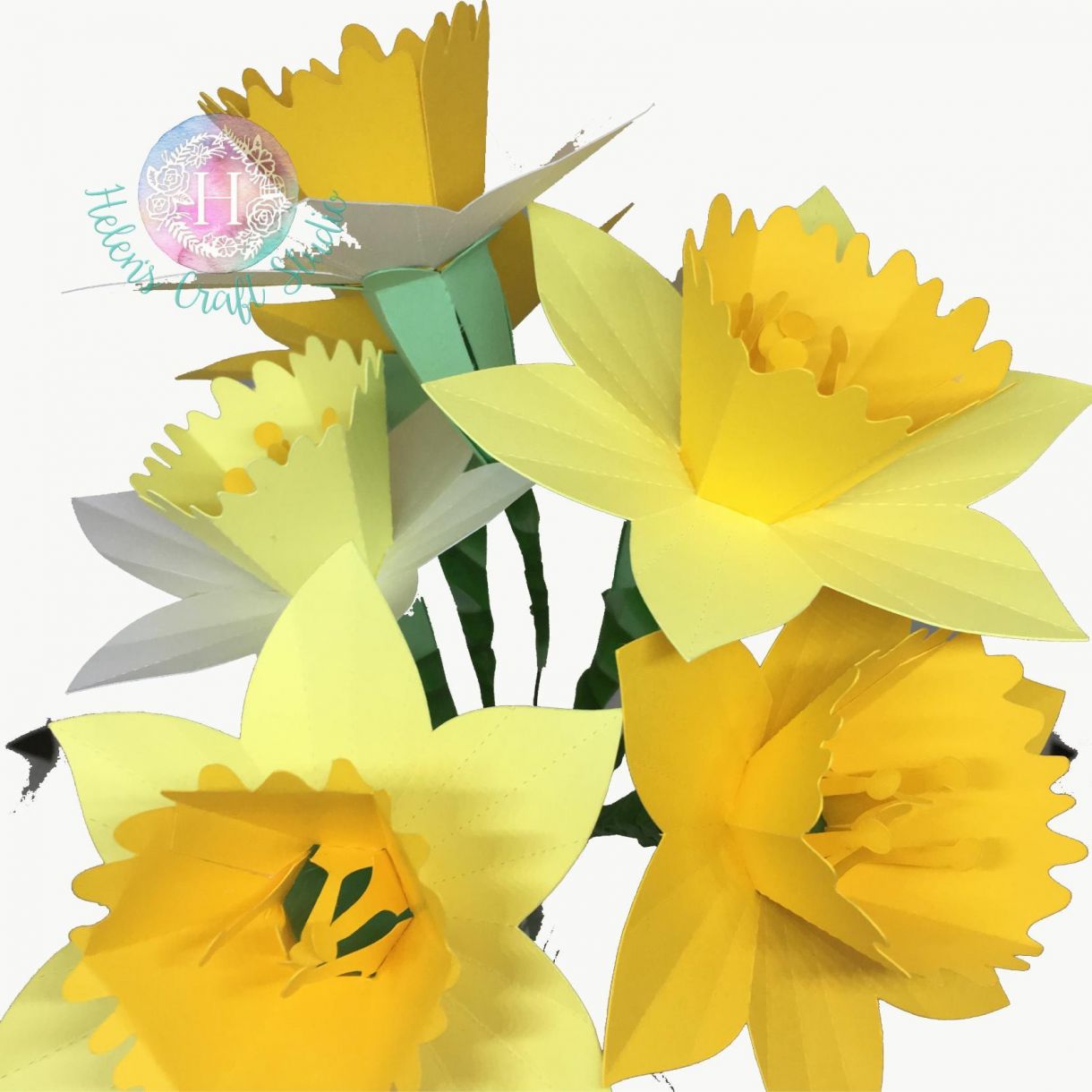 3 D Daffodil 02 Wm