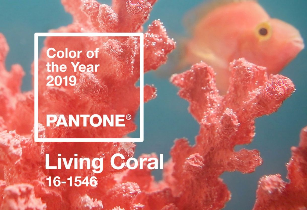 Pantone Color Of The Year 2019 Living Coral Banner Mobile