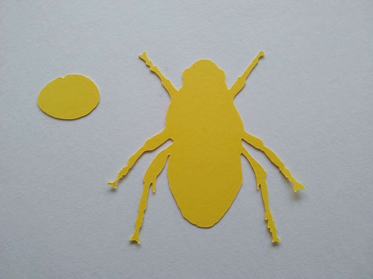 Bee Main