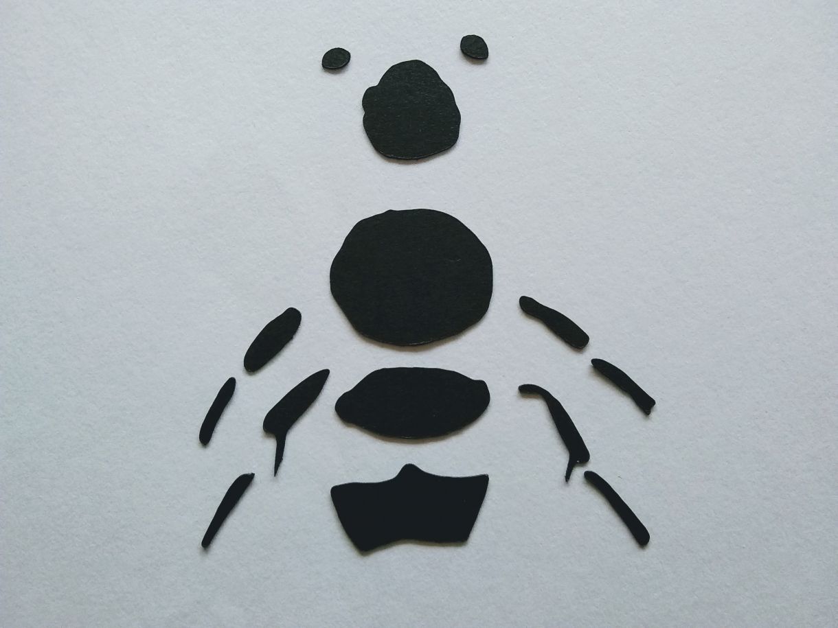 Bee Black