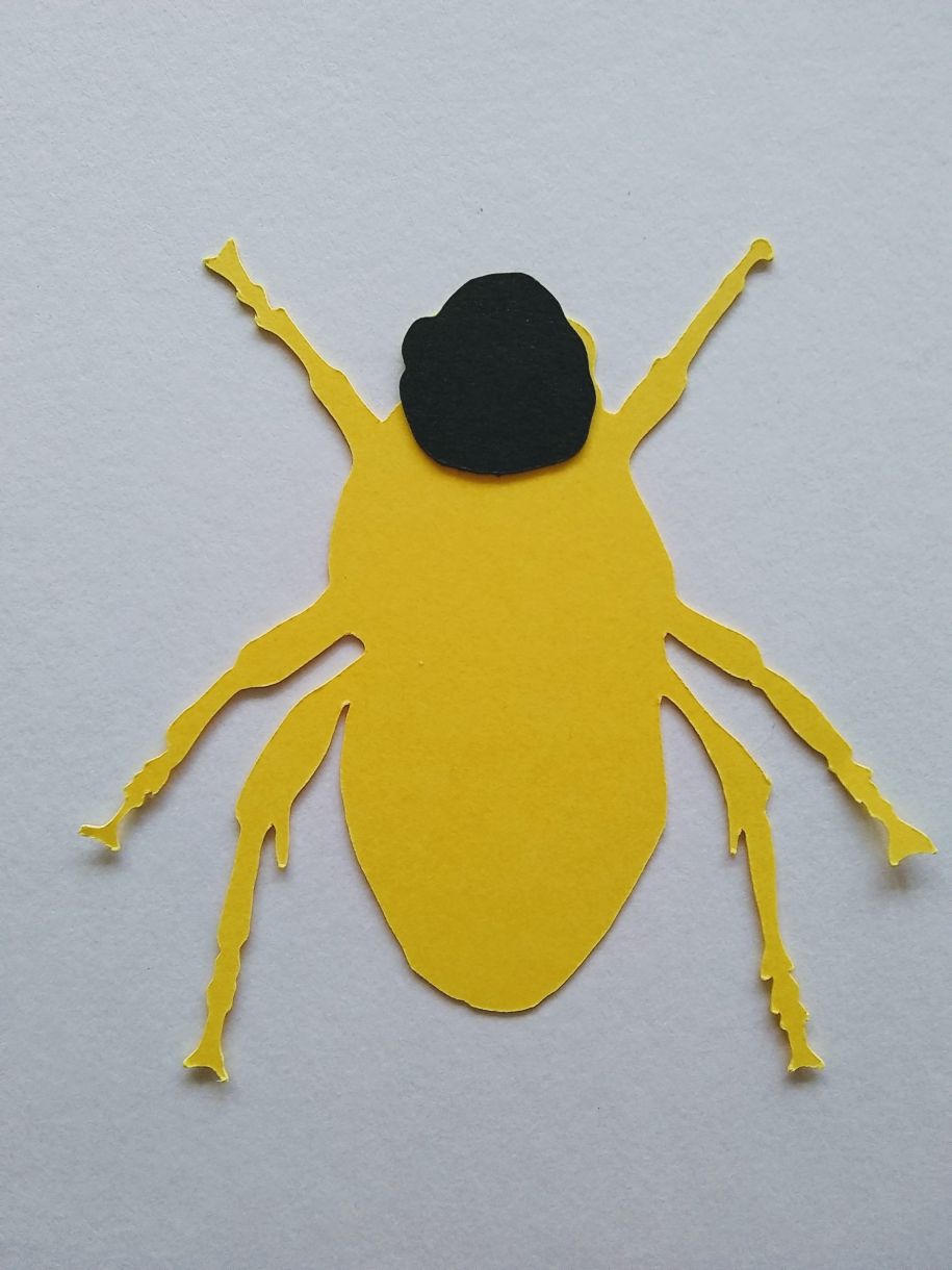 Bee Black Head