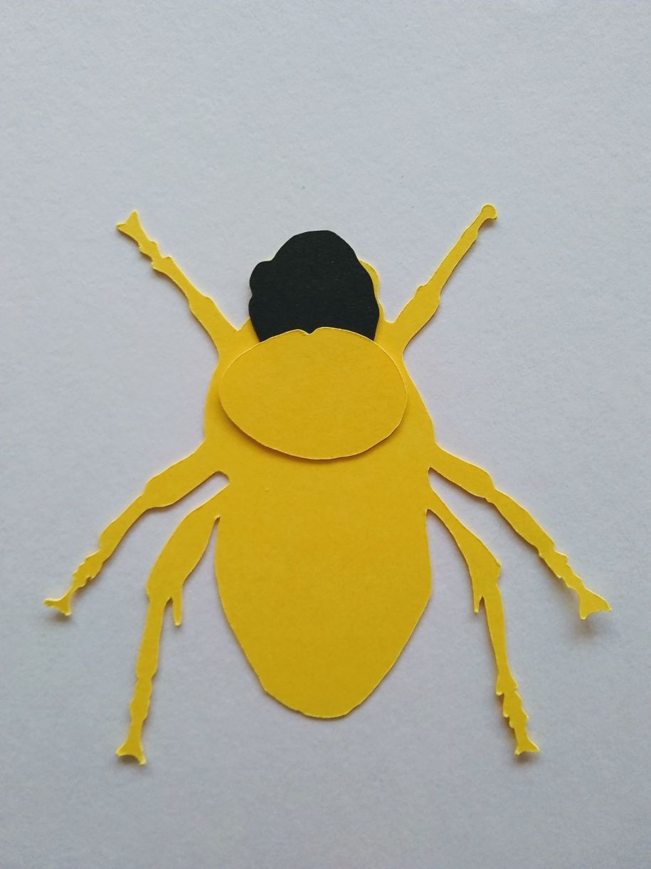 Bee Main Body Second Part