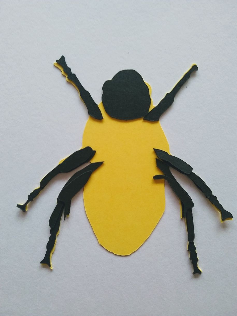 Black Legs On Main Body
