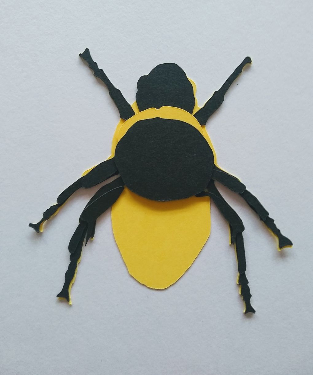 Legs Underneath Bee