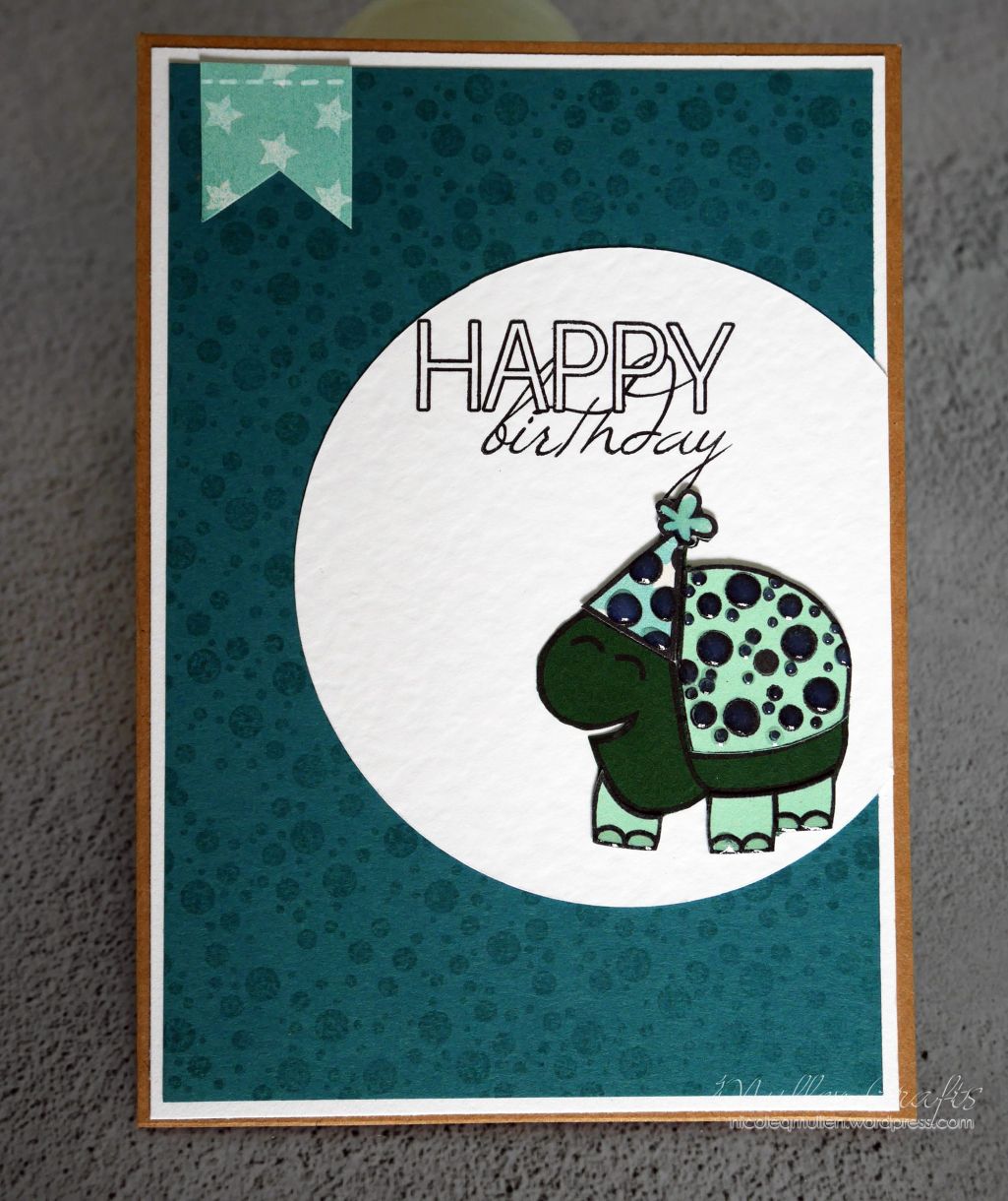 Nicole Turtle Bday Card 7