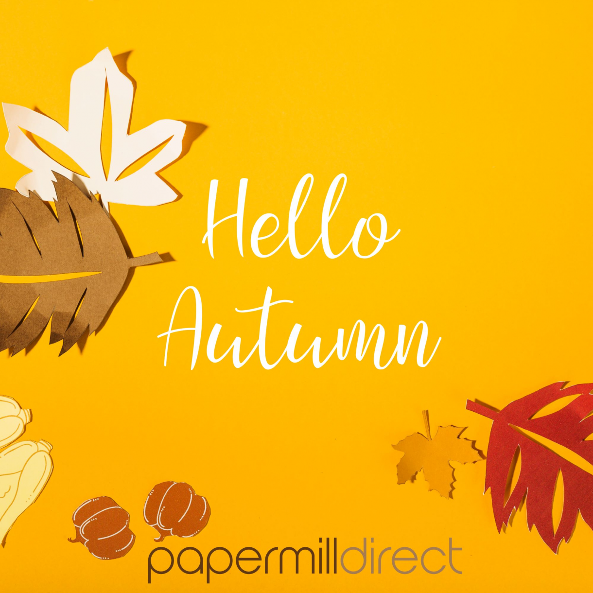 Hello Autumn 01 Re