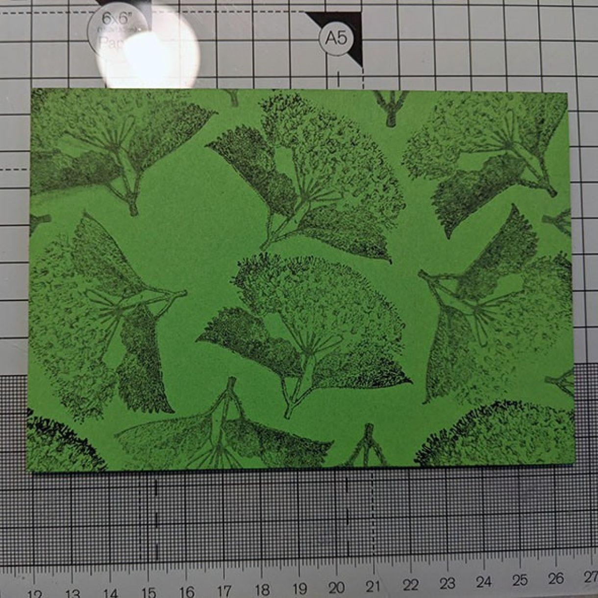 Green On Green Gift Box Nm 2