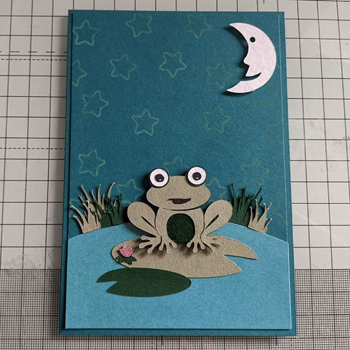 Nm Blue Frog Birthday Card 10