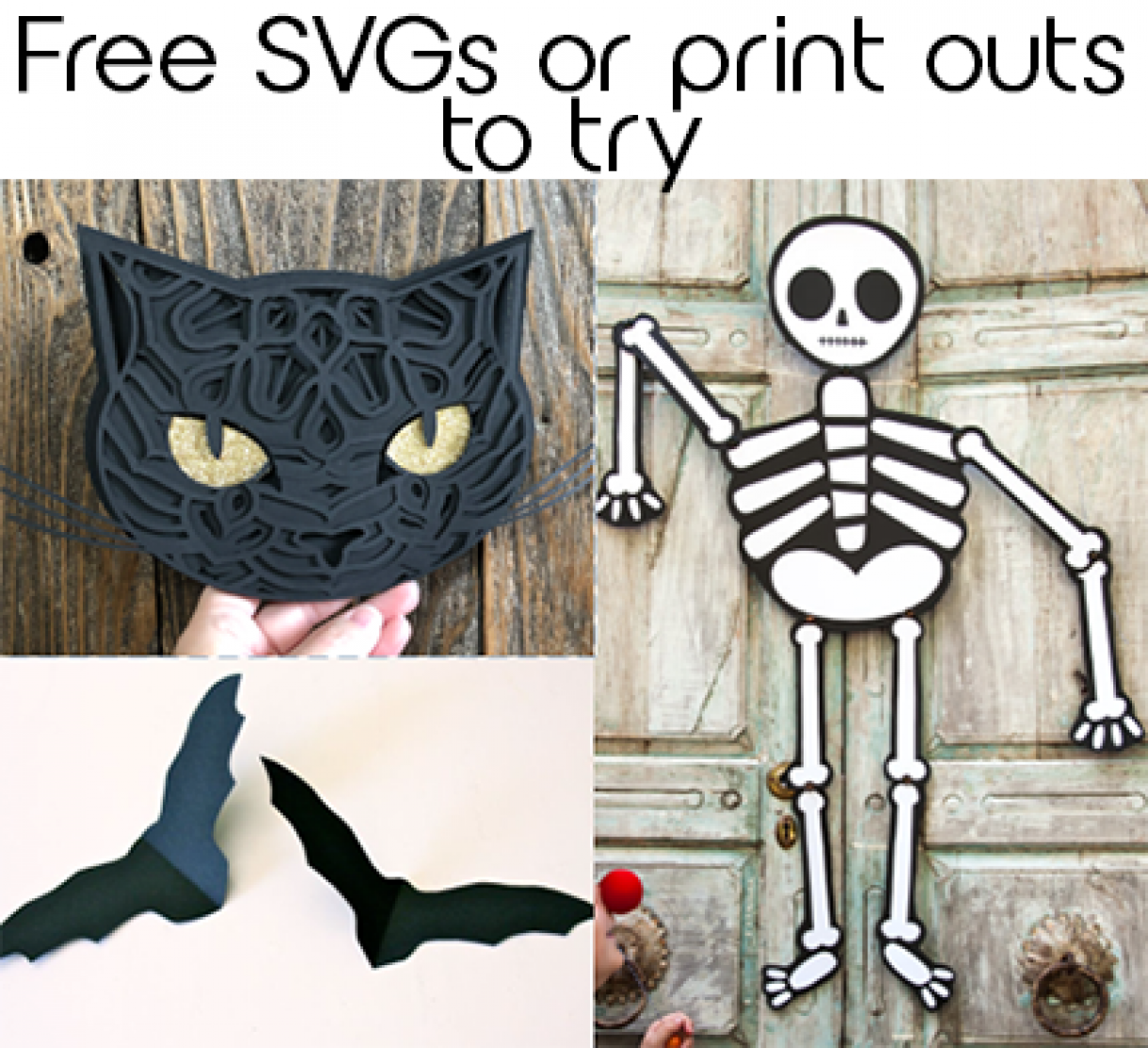 Svg Photos