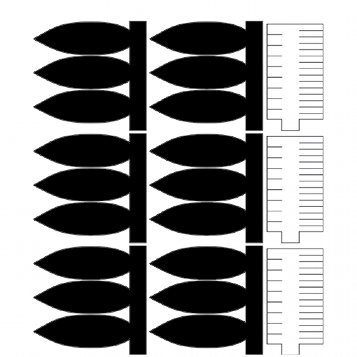 Daff Print Out Sheet