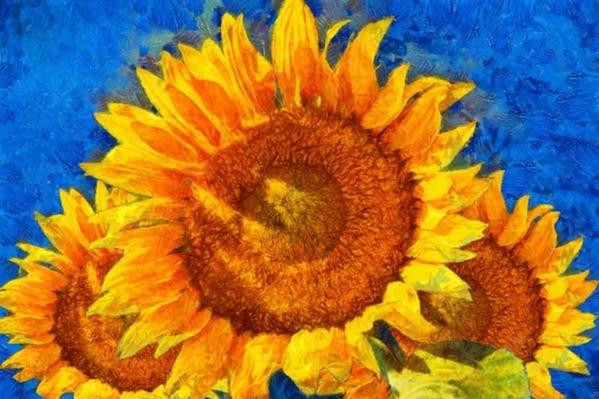 Papermill Direct  Celebrate The Summer With Sunflowers 3