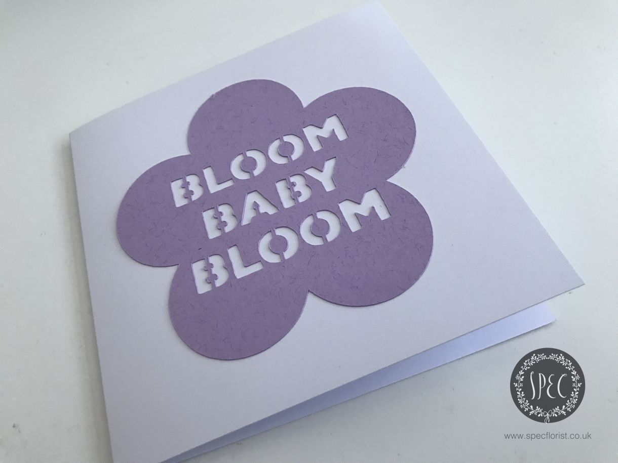 purple flower card