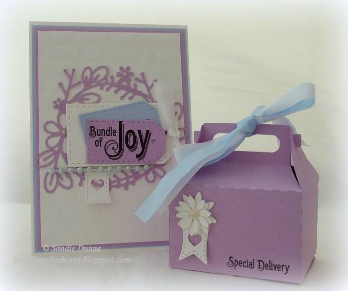 New Baby Gift Box Special Delivery