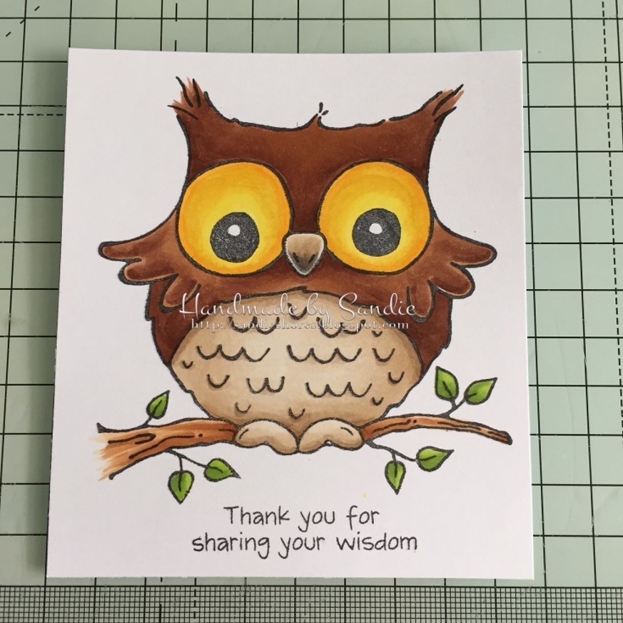 Owl Complete