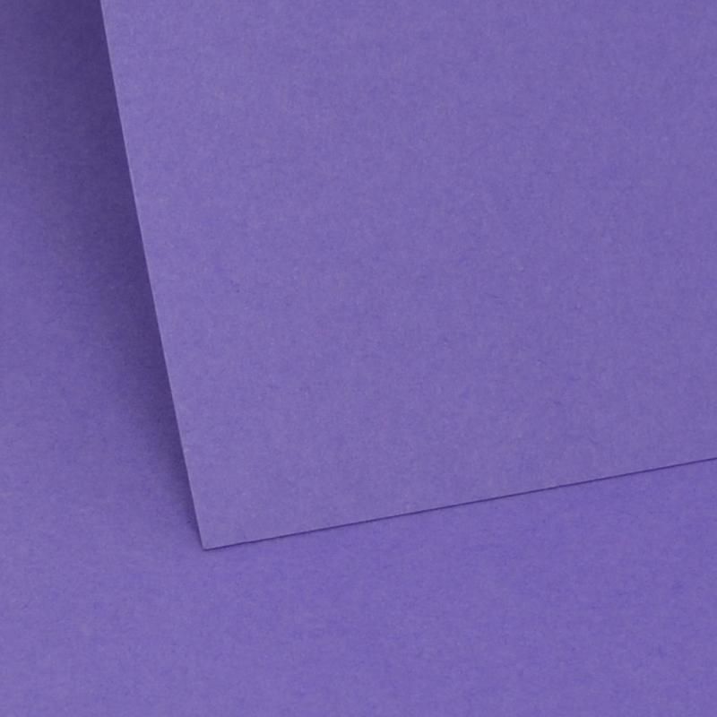 Violet Plain