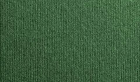 Verde Foresta Nettuno Linen Effect Card 280gsm