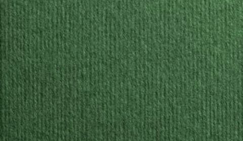 Verde Foresta Nettuno Card Blanks Double Sided 280gsm