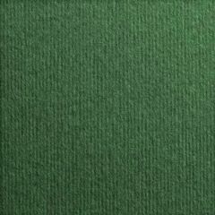 Nettuno Verde Foresta