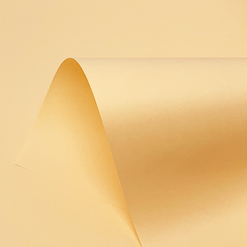 Pastel Orange