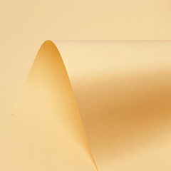 Pastel Orange