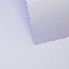Lavender 160Gsm