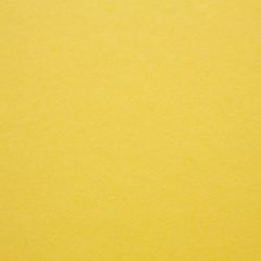Daffodil Surface