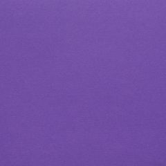 Dark Violet