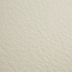 Ivory Hammer 255 Surf