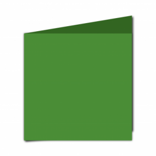 Apple Green Card Blanks Double Sided 240gsm-Large Square-Portrait