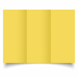Daffodil Yellow Card Blanks Double Sided 240gsm-DL-Trifold