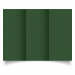 Dark Green Card Blanks Double Sided 240gsm-DL-Trifold