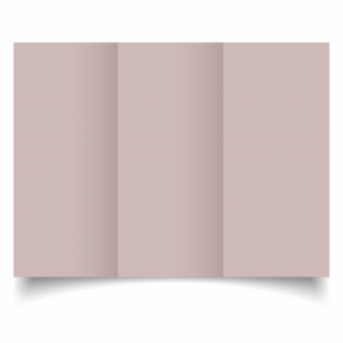 Nude Sirio Colour Card Blanks Double sided 290gsm-DL-Trifold