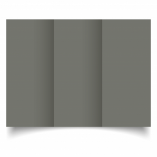 Antracite Sirio Colour Card Blanks Double sided 290gsm-DL-Trifold