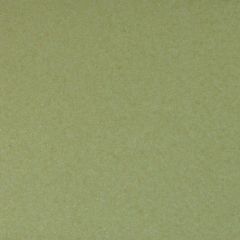 Lustre Print Green Grass 300Gsm Plan