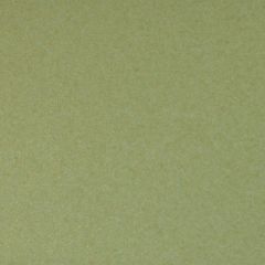 Lustre Print Green Grass 300Gsm Texture