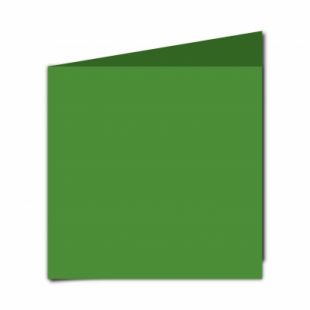 Card Blanks Double Sided 240gsm Apple Green-Extra Large Square-Portrait