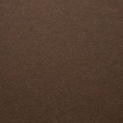 Mocha Brown Surf