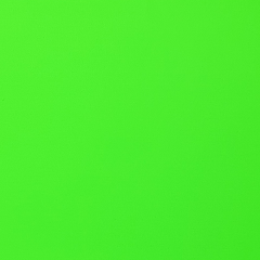 Light Green Dayglo