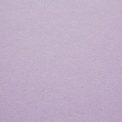 New Lilac Surf