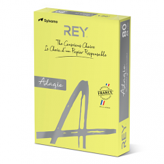 Rey Ad Banana 80